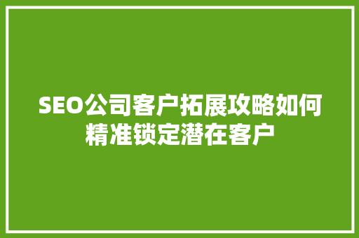 SEO公司客户拓展攻略如何精准锁定潜在客户