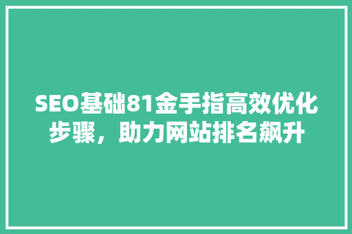 SEO基础81金手指高效优化步骤，助力网站排名飙升