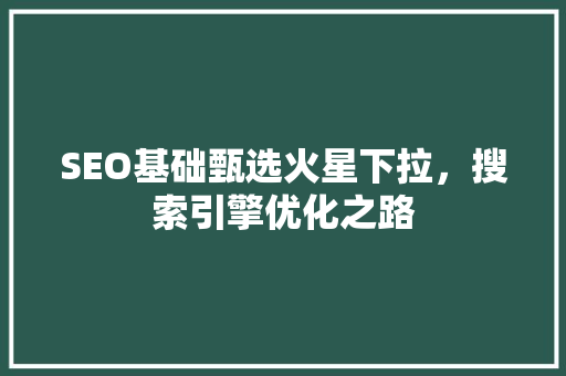SEO基础甄选火星下拉，搜索引擎优化之路