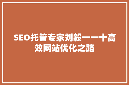SEO托管专家刘毅一一十高效网站优化之路
