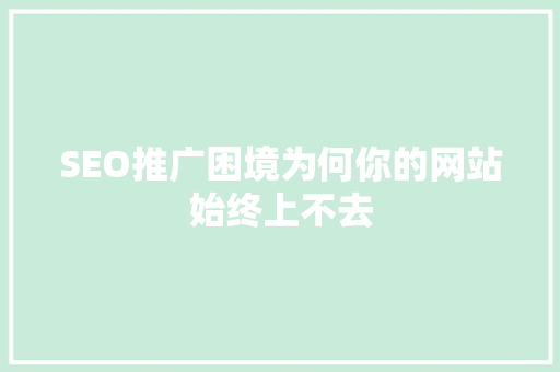 SEO推广困境为何你的网站始终上不去