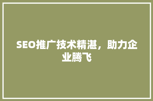 SEO推广技术精湛，助力企业腾飞