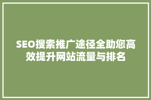 SEO搜索推广途径全助您高效提升网站流量与排名