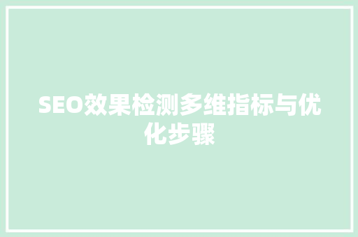SEO效果检测多维指标与优化步骤