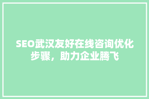 SEO武汉友好在线咨询优化步骤，助力企业腾飞