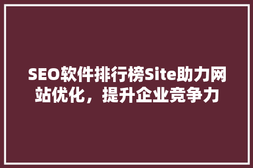 SEO软件排行榜Site助力网站优化，提升企业竞争力