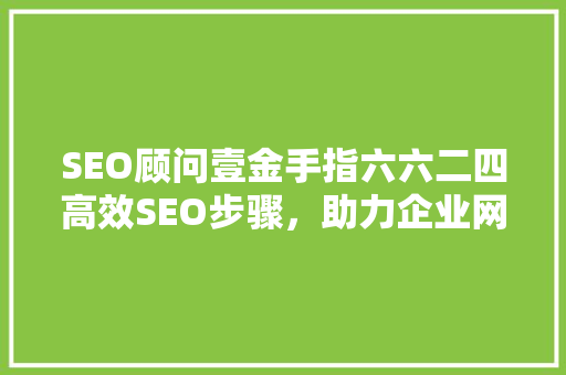 SEO顾问壹金手指六六二四高效SEO步骤，助力企业网站排名提升