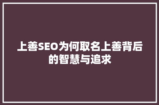 上善SEO为何取名上善背后的智慧与追求