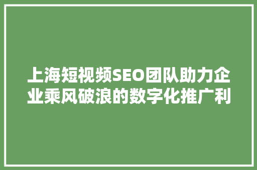 上海短视频SEO团队助力企业乘风破浪的数字化推广利器