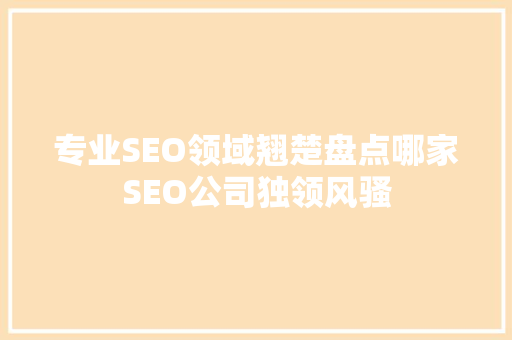 专业SEO领域翘楚盘点哪家SEO公司独领风骚