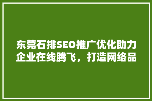 东莞石排SEO推广优化助力企业在线腾飞，打造网络品牌新高度
