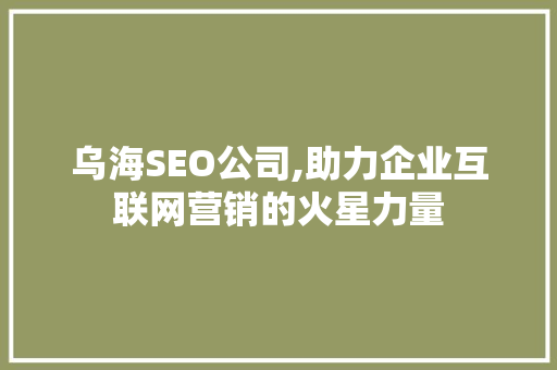 乌海SEO公司,助力企业互联网营销的火星力量