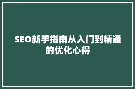 SEO新手指南从入门到精通的优化心得