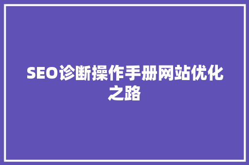 SEO诊断操作手册网站优化之路
