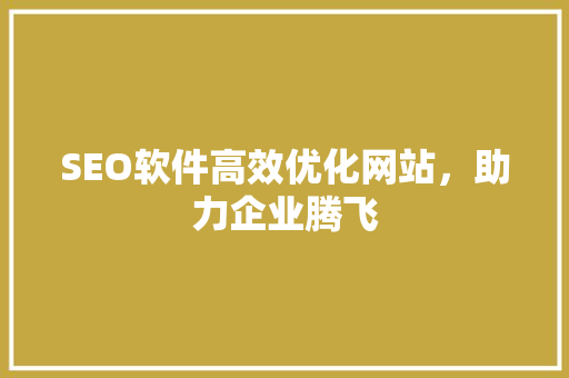 SEO软件高效优化网站，助力企业腾飞
