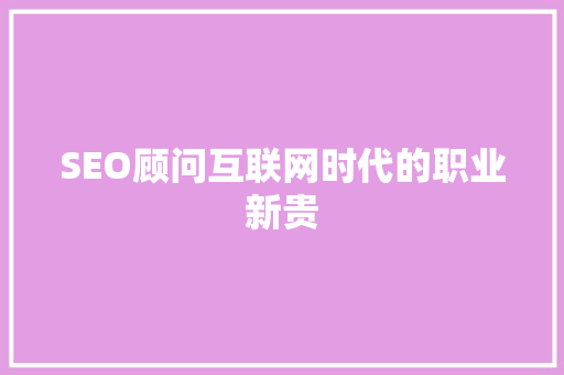 SEO顾问互联网时代的职业新贵