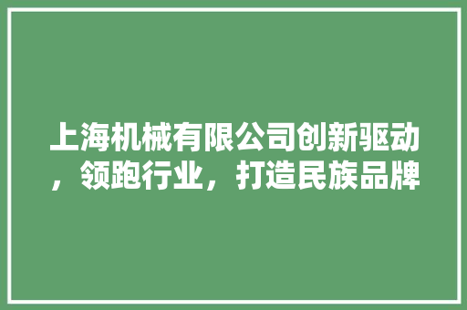 上海机械有限公司创新驱动，领跑行业，打造民族品牌新标杆