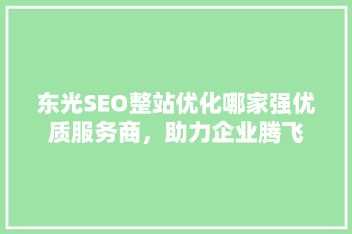 东光SEO整站优化哪家强优质服务商，助力企业腾飞