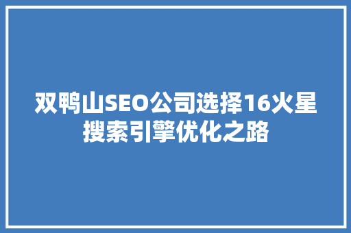 双鸭山SEO公司选择16火星搜索引擎优化之路