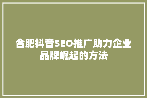 合肥抖音SEO推广助力企业品牌崛起的方法