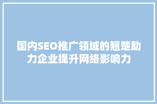 国内SEO推广领域的翘楚助力企业提升网络影响力