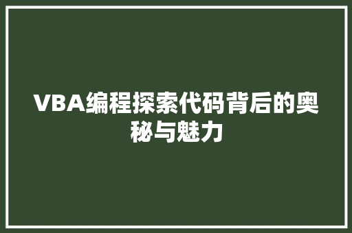 VBA编程探索代码背后的奥秘与魅力