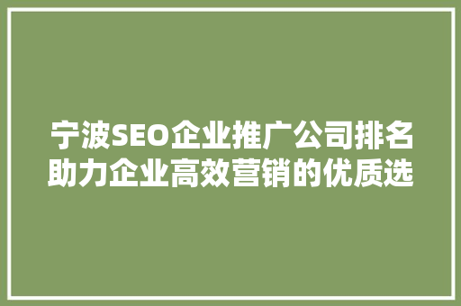 宁波SEO企业推广公司排名助力企业高效营销的优质选择