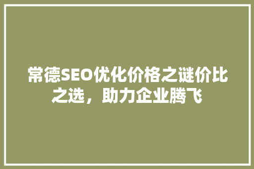 常德SEO优化价格之谜价比之选，助力企业腾飞