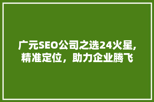 广元SEO公司之选24火星,精准定位，助力企业腾飞