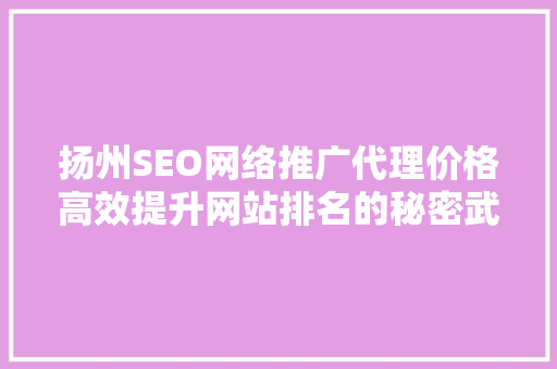 扬州SEO网络推广代理价格高效提升网站排名的秘密武器