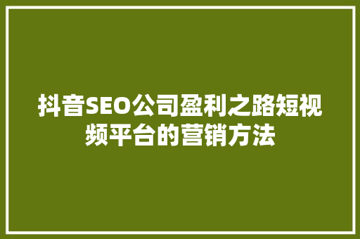 抖音SEO公司盈利之路短视频平台的营销方法