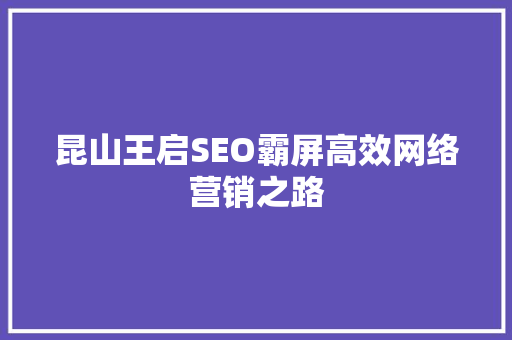 昆山王启SEO霸屏高效网络营销之路