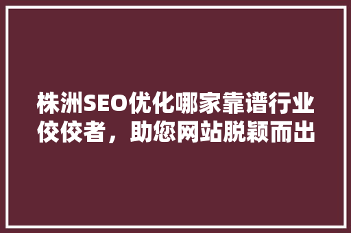株洲SEO优化哪家靠谱行业佼佼者，助您网站脱颖而出