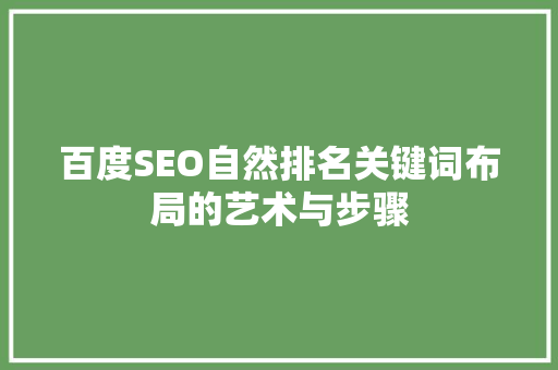 百度SEO自然排名关键词布局的艺术与步骤