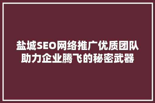 盐城SEO网络推广优质团队助力企业腾飞的秘密武器