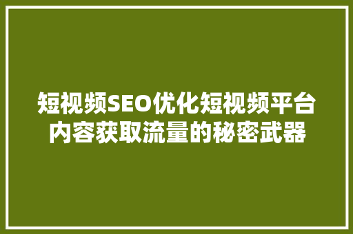 短视频SEO优化短视频平台内容获取流量的秘密武器