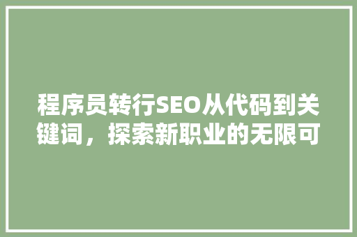 程序员转行SEO从代码到关键词，探索新职业的无限可能