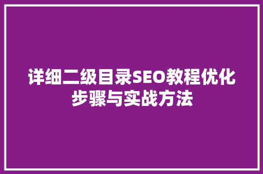 详细二级目录SEO教程优化步骤与实战方法