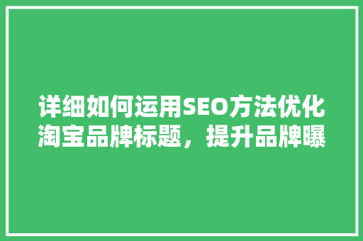 详细如何运用SEO方法优化淘宝品牌标题，提升品牌曝光率