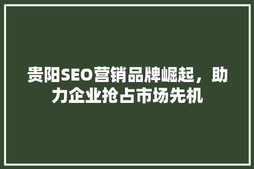 贵阳SEO营销品牌崛起，助力企业抢占市场先机  第1张
