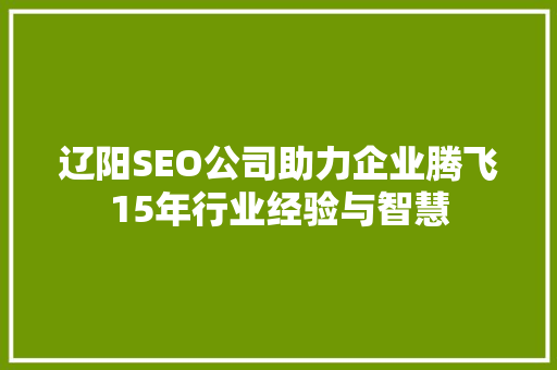 辽阳SEO公司助力企业腾飞15年行业经验与智慧