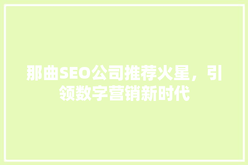 那曲SEO公司推荐火星，引领数字营销新时代