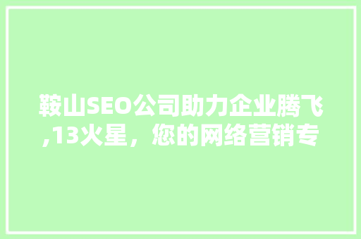 鞍山SEO公司助力企业腾飞,13火星，您的网络营销专家
