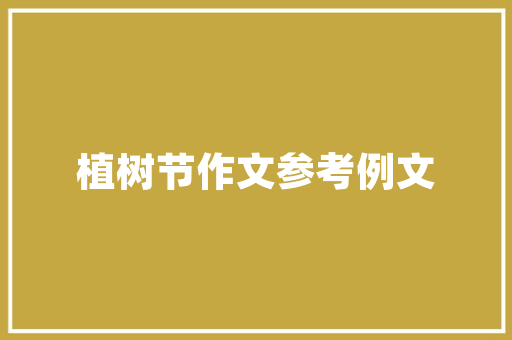 代码中的时光流转编程语言中的时间显示机制