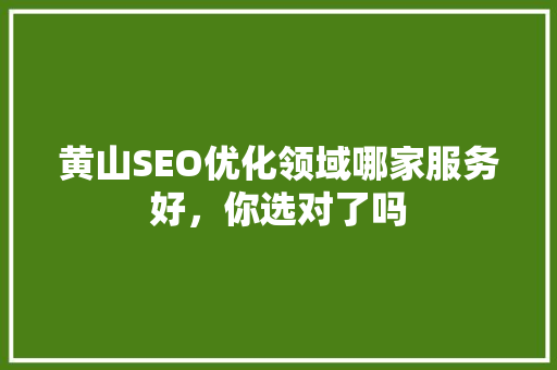 黄山SEO优化领域哪家服务好，你选对了吗