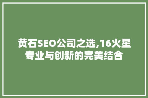 黄石SEO公司之选,16火星专业与创新的完美结合