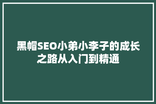 黑帽SEO小弟小李子的成长之路从入门到精通