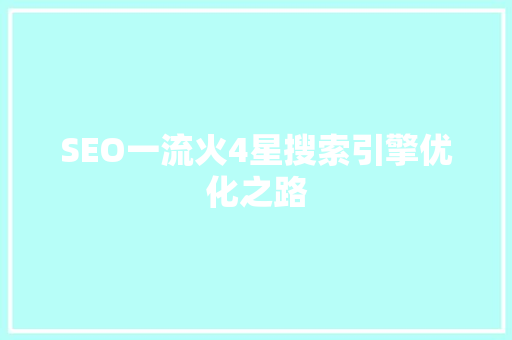 SEO一流火4星搜索引擎优化之路