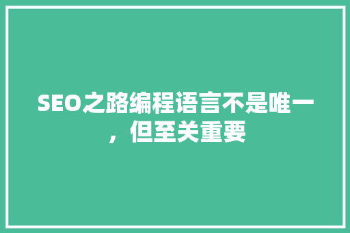 SEO之路编程语言不是唯一，但至关重要
