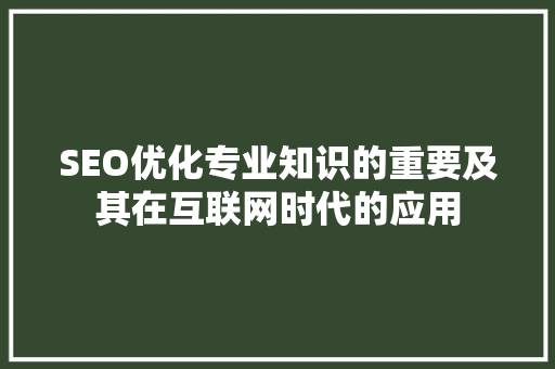 SEO优化专业知识的重要及其在互联网时代的应用